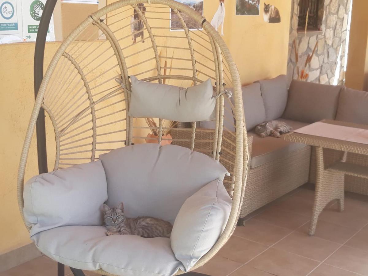 Apartment Villegas Castril